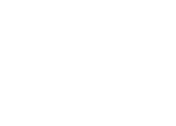 AceLine Painting Services